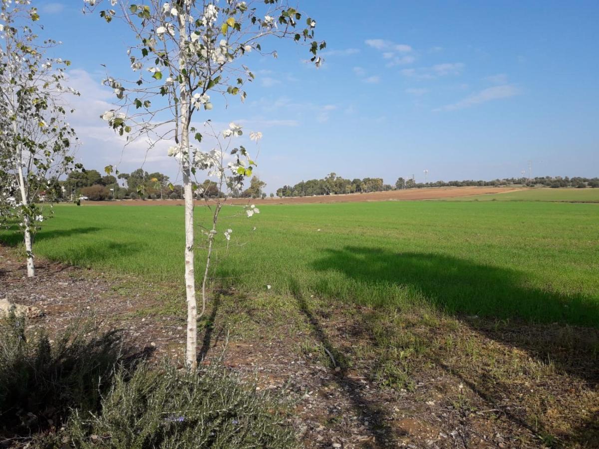 Kibbutz Hatzor A Room Close To Ashdod Hatzor Ashdod Eksteriør bilde